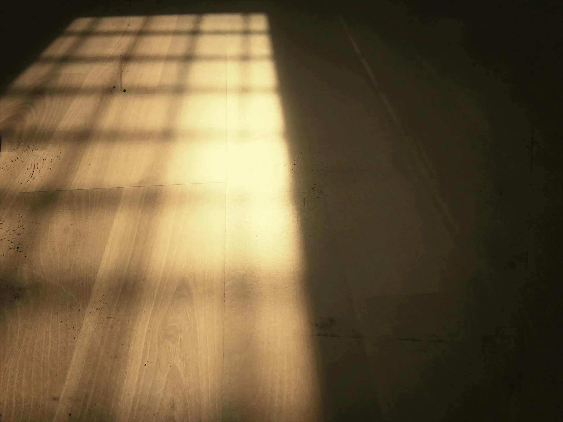 Sunlight casts a grid shadow on a wooden floor, creating a bright rectangle against a dark background.